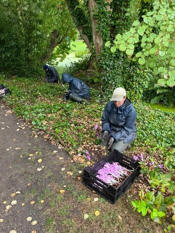 Weekly catch up with garden and propagation