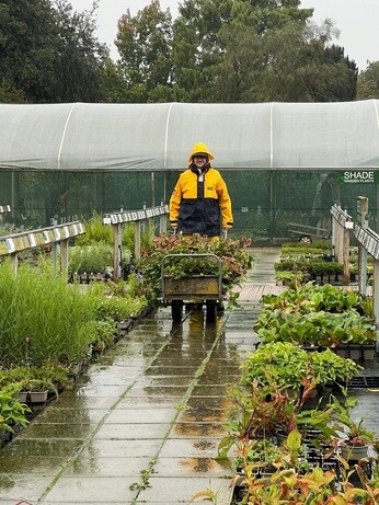 Weekly catch up with garden & propagation