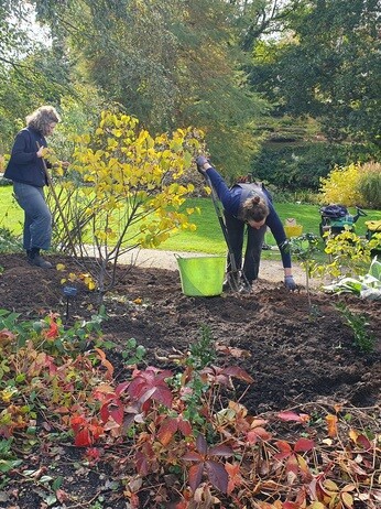 Weekly catch up with garden & propagation Weekly catch up with garden & propagation