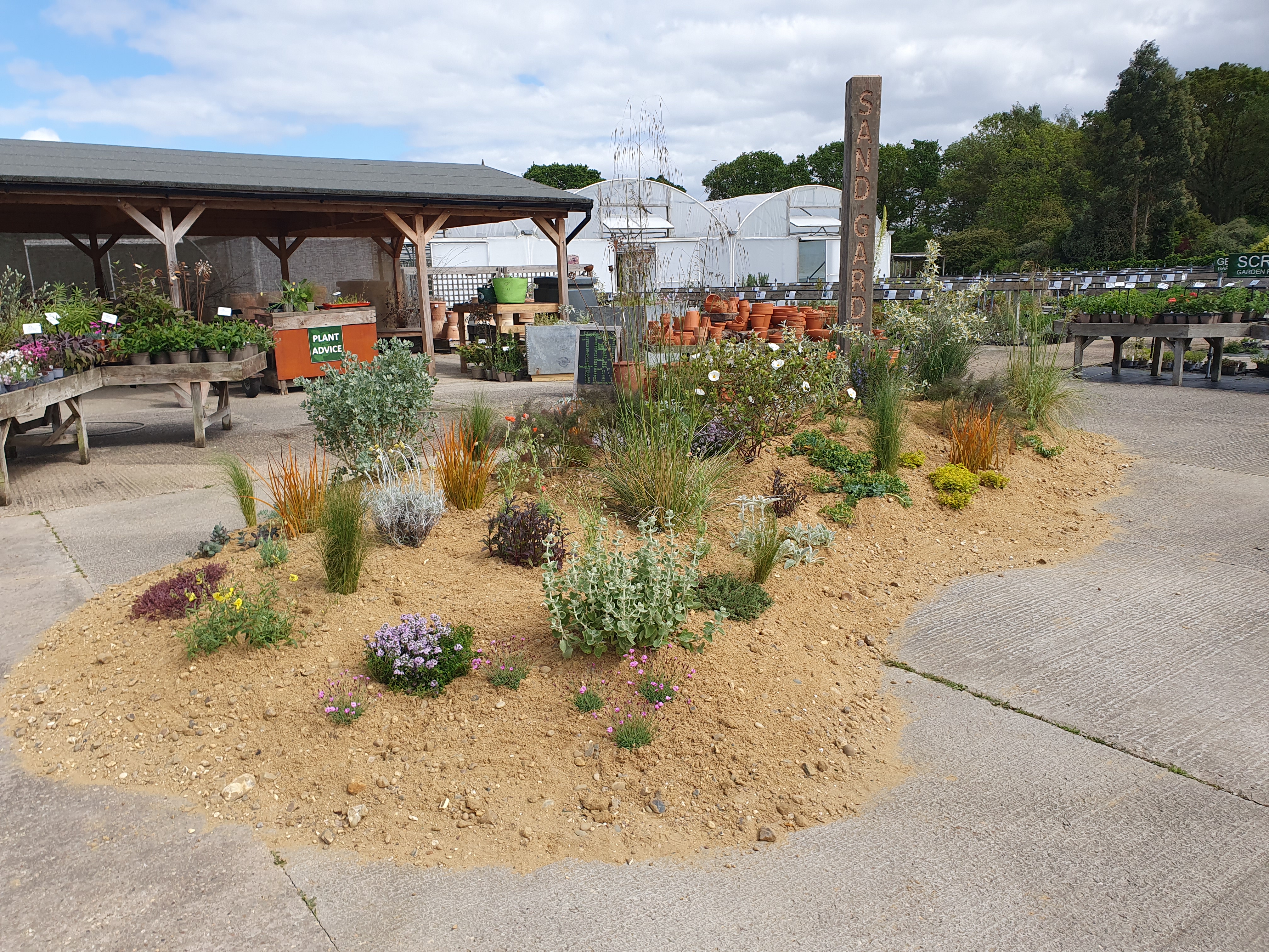 Chelsea inspired sand garden Chelsea inspired sand garden