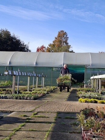 Weekly catch up with garden & propagation Weekly catch up with garden & propagation