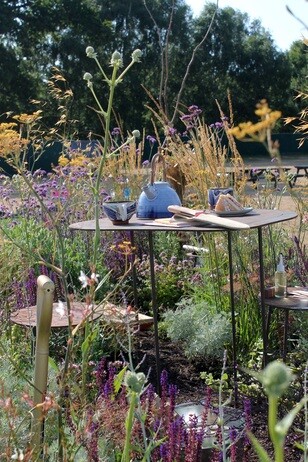 My Year as a Trainee at Beth Chatto Plants & Gardens