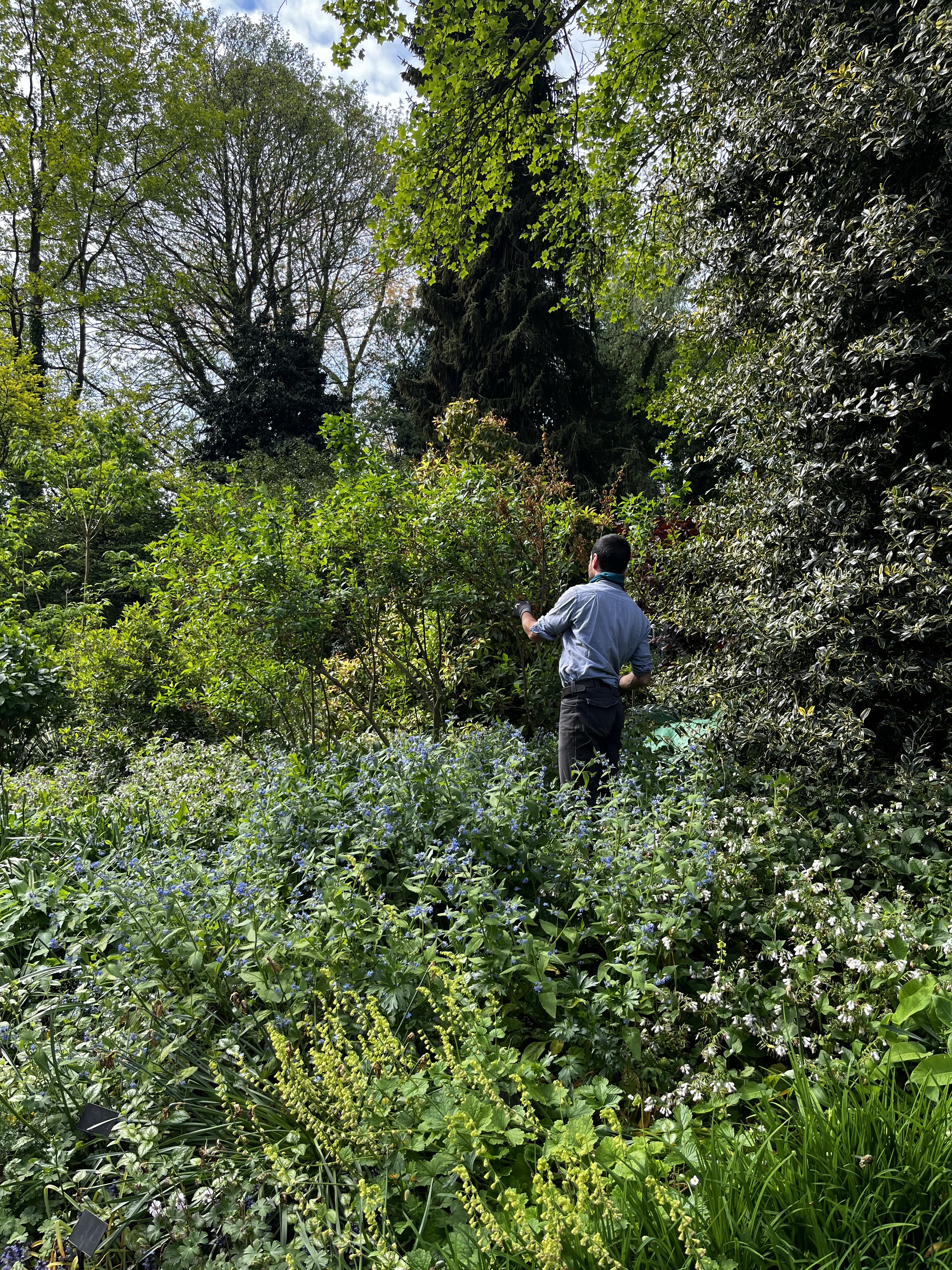 Weekly catch up with garden & propagation