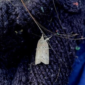 Wild Words from the Ground  February & March