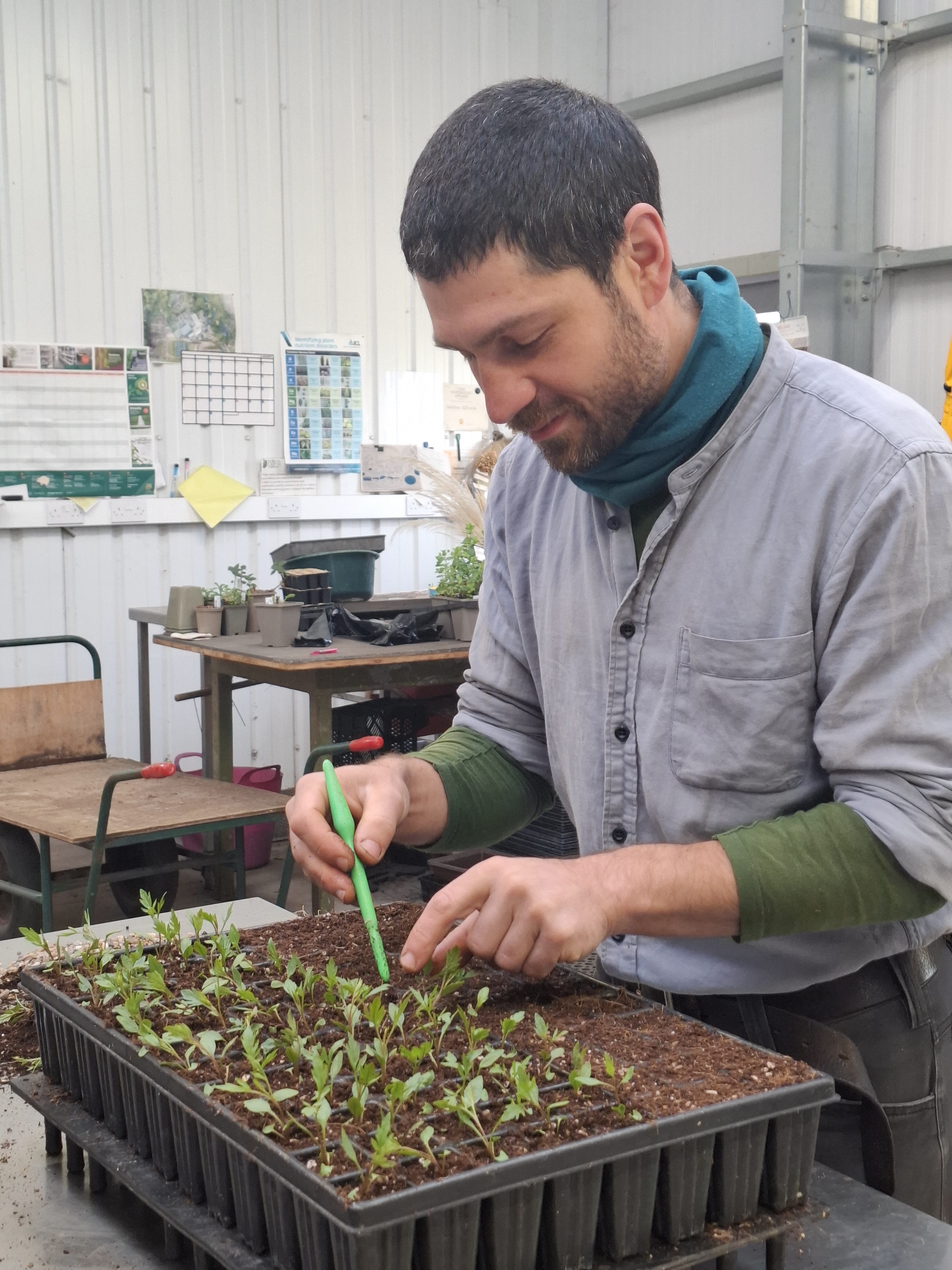 Weekly catch up with garden & propagation