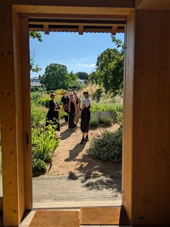 Weekly catch up with garden & propagation