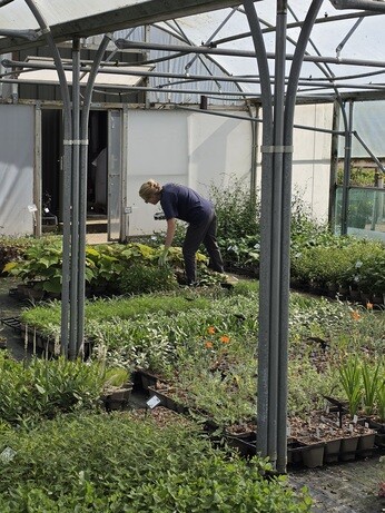 Weekly catch up with garden and propagation