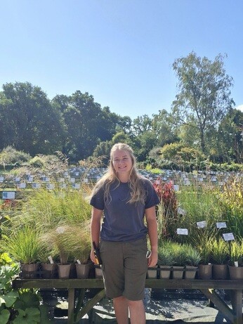 Weekly catch up with garden & propagation