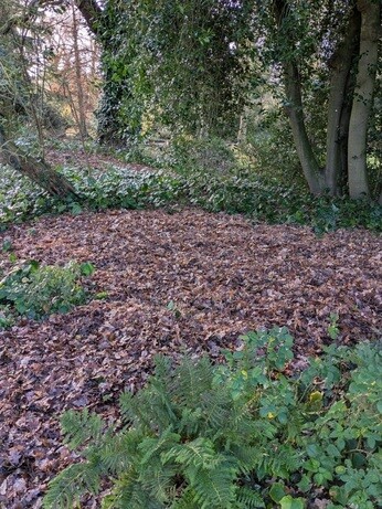 A look back at 2025 with the garden team A look back at 2025 with the garden team