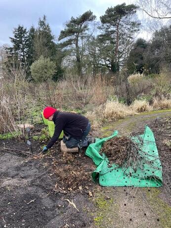 A look back at 2025 with the garden team A look back at 2025 with the garden team