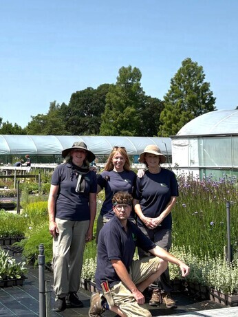 Weekly catch up with garden and propagation