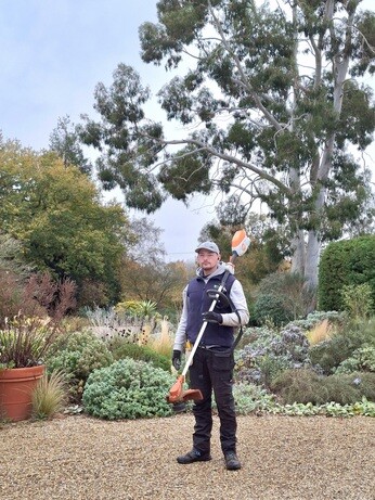 Weekly catch up with garden & propagation