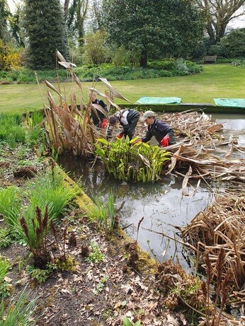Weekly catch up with gardens & propagation