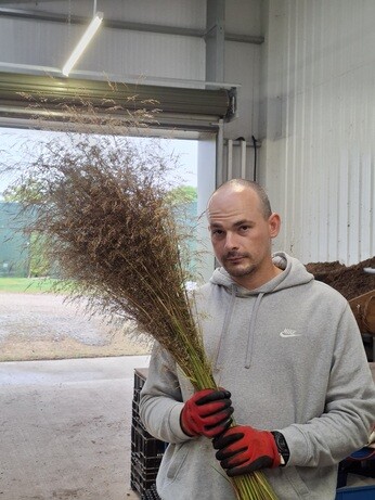 Weekly catch up with garden & propagation