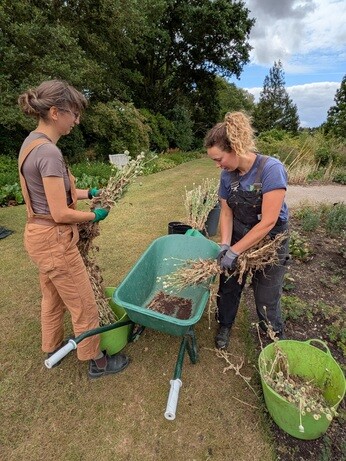 Weekly catch up with garden & propagation