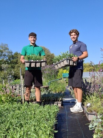 Weekly catch up with garden and propagation Weekly catch up with garden and propagation