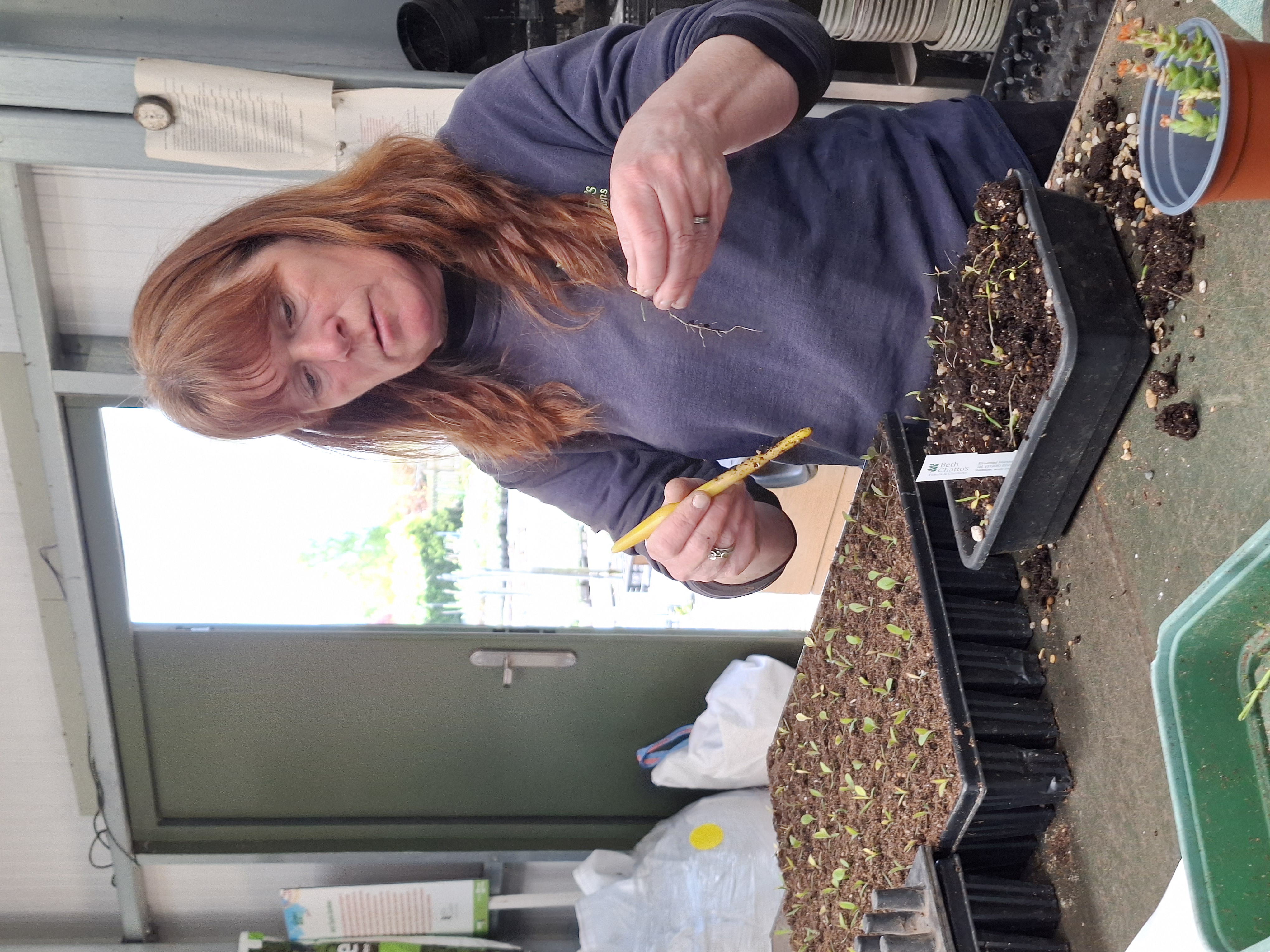 Weekly catch up with garden & propagation