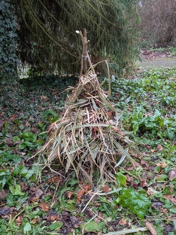 Weekly catch up with garden & propagation