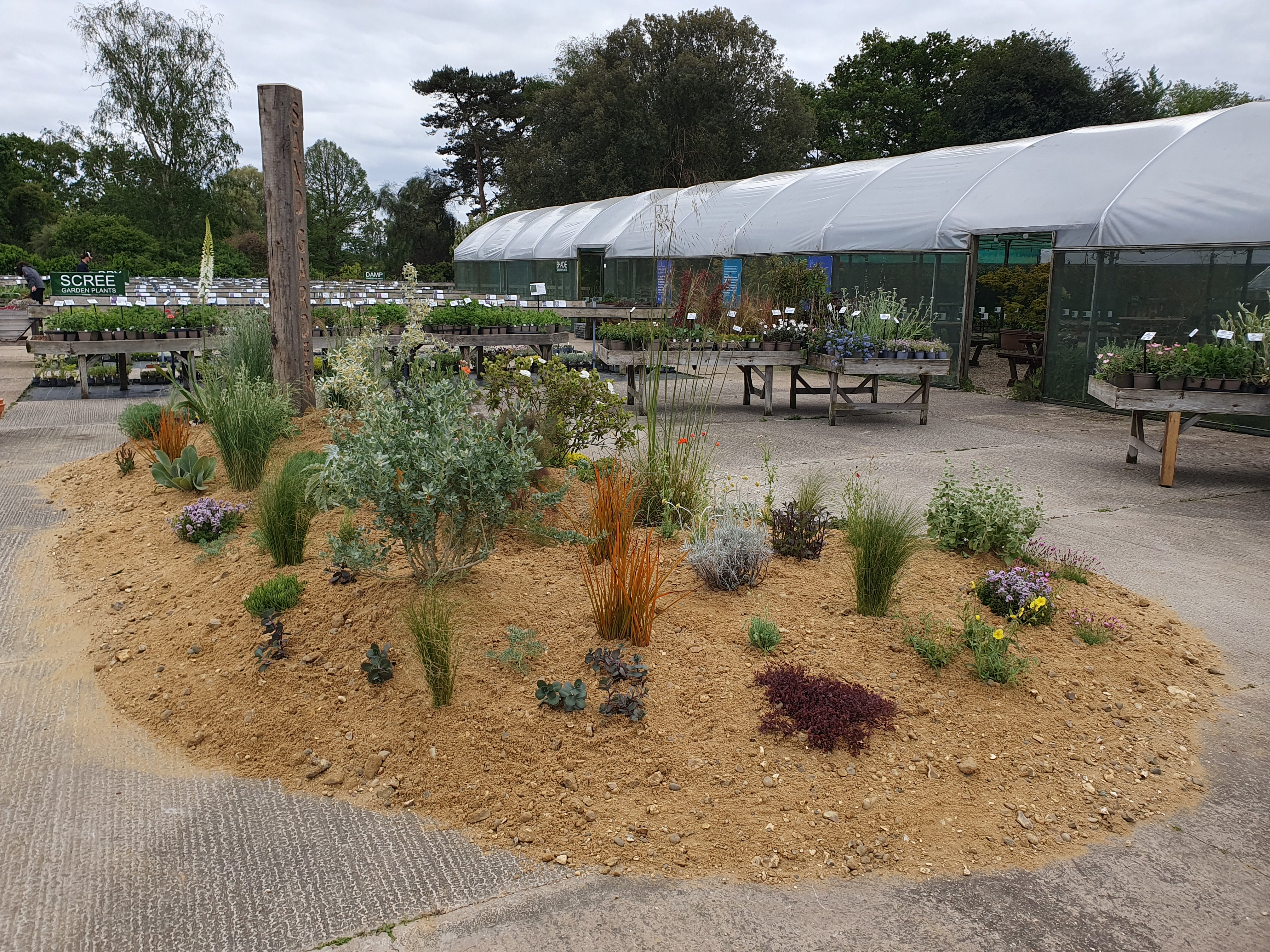 Chelsea inspired sand garden Chelsea inspired sand garden