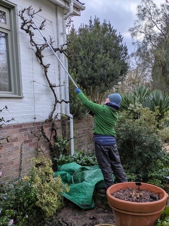 Weekly catch up with garden & propagation