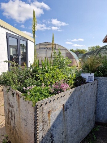 Urban Planters