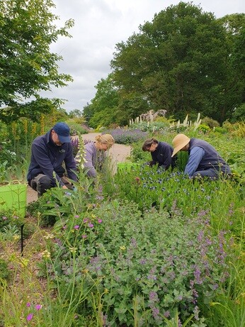 Weekly catch up with gardens & propagation