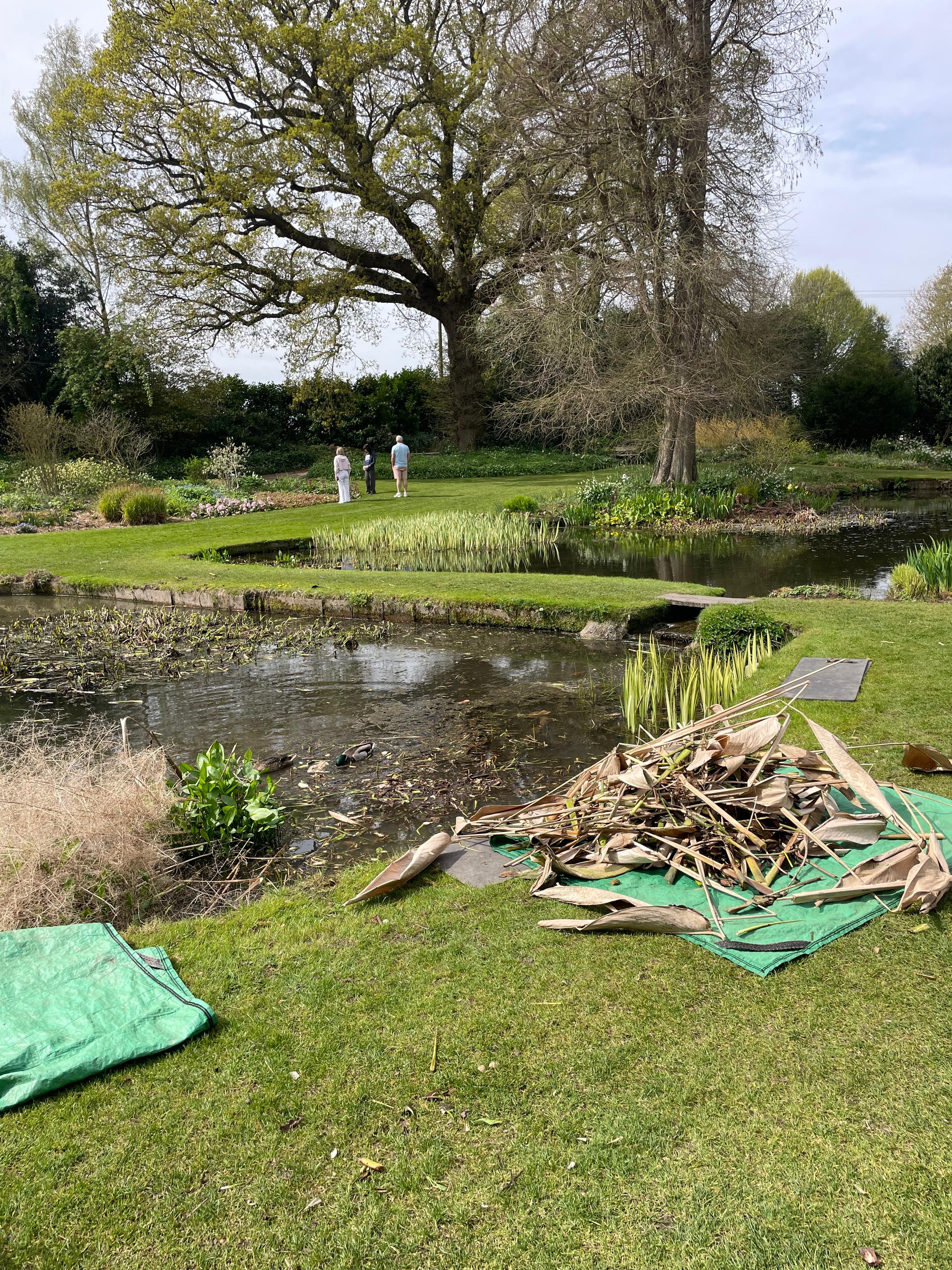 Weekly catch up with garden & propagation