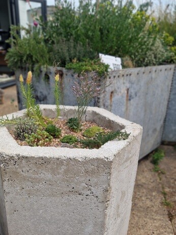 Urban planters experiment
