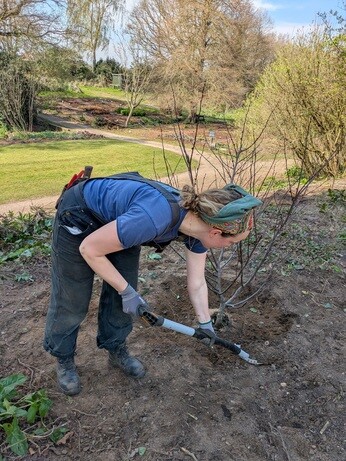 Weekly catch up with gardens & propagation