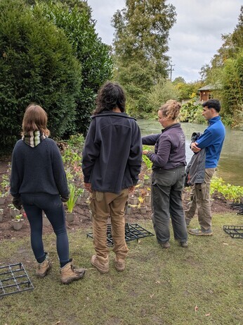 Weekly catch up with garden and propagation