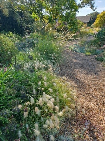 Weekly catch up with garden & propagation