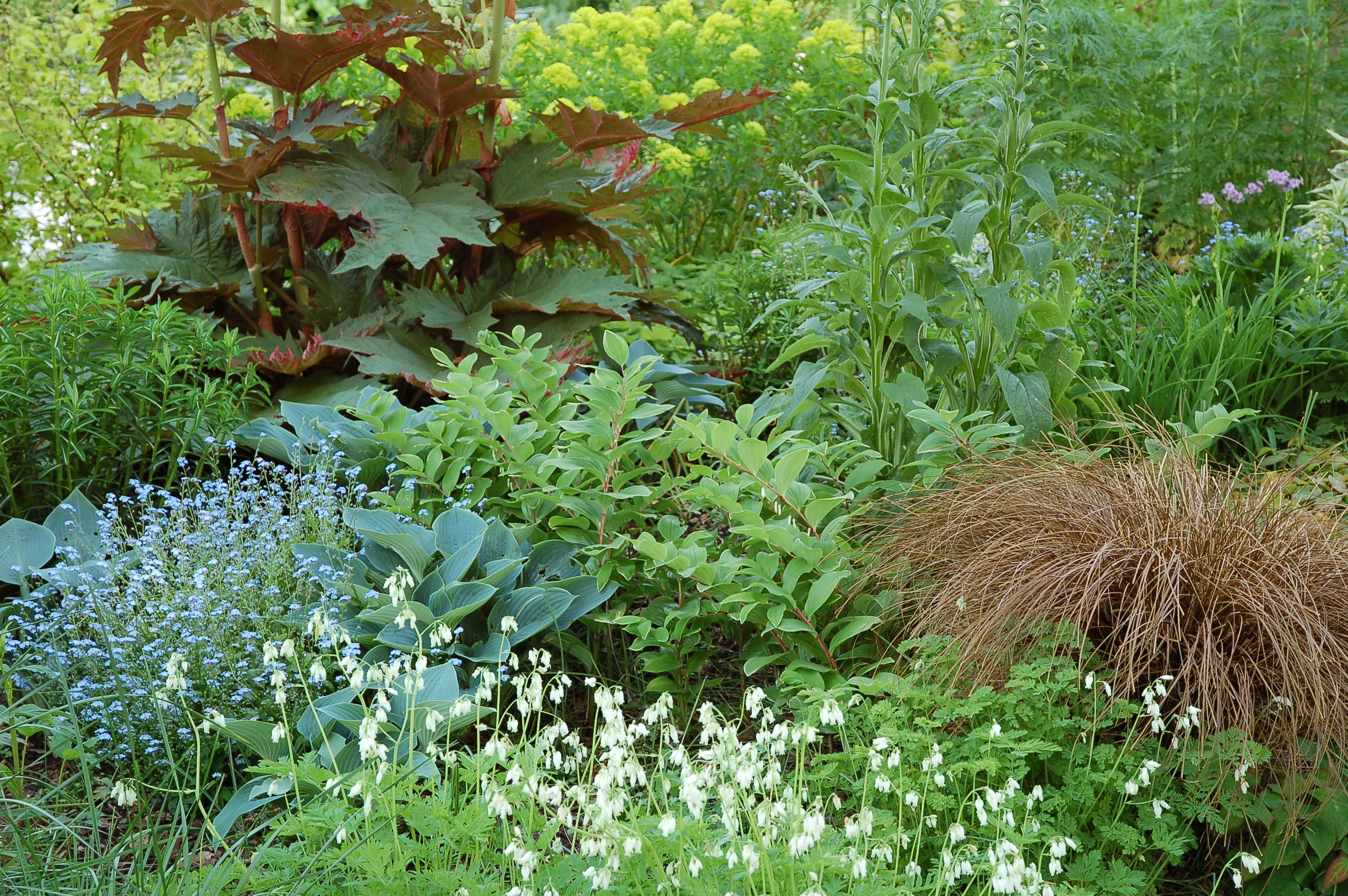 Fabulous foliage