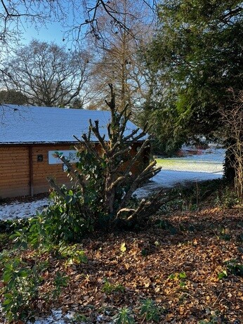 Weekly catch up with garden & propagation