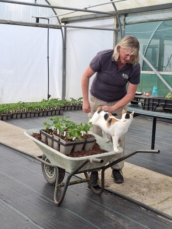 Weekly catch up with garden and propagation Weekly catch up with garden and propagation