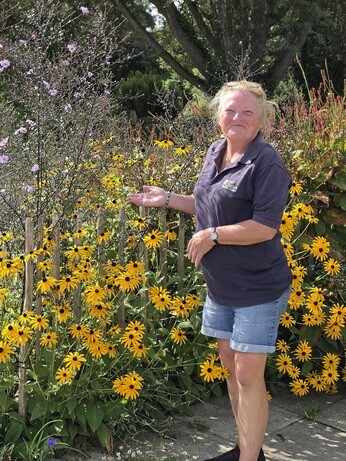 Weekly catch up with garden and propagation