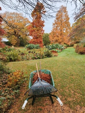 A look back at 2025 with the garden team A look back at 2025 with the garden team