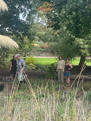 Weekly catch up with garden and propagation Weekly catch up with garden and propagation