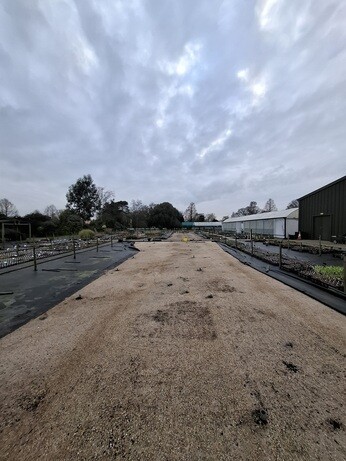 Weekly catch up with garden & propagation