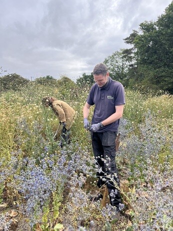 Weekly catchup with garden and propagation