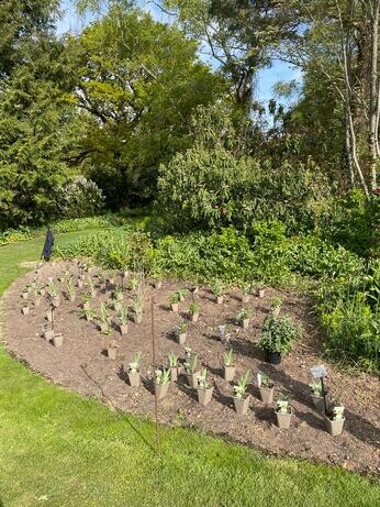 Planting in autumn Planting in autumn