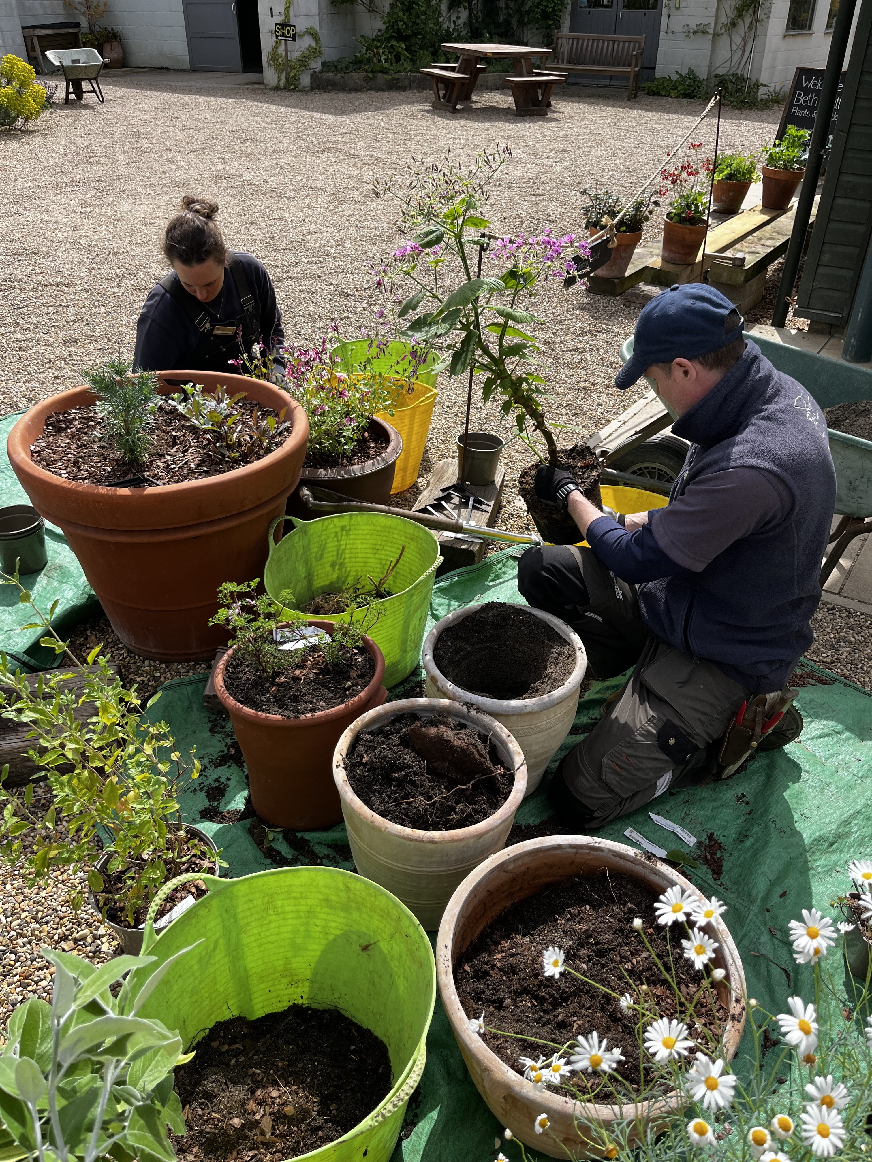 Weekly catch up with garden & propagation