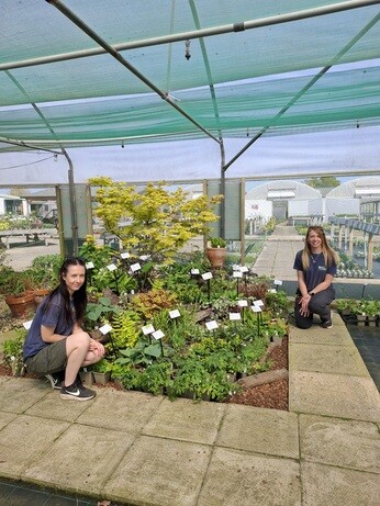 Weekly catch up with gardens & propagation Weekly catch up with gardens & propagation
