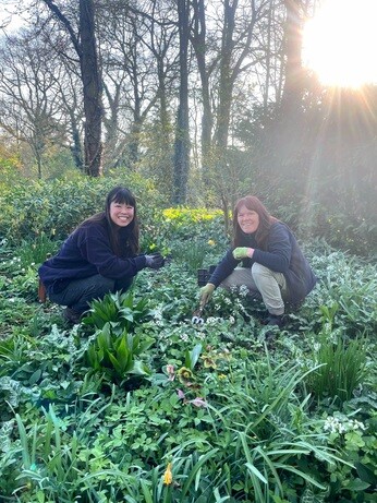 Weekly catch up with gardens & propagation