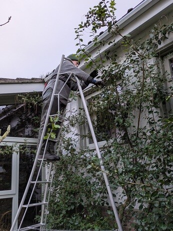 Weekly catch up with garden & propagation