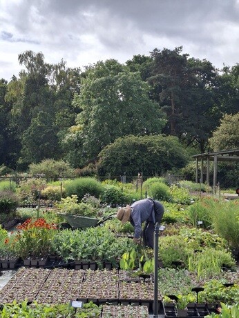 Weekly catch up with garden & propagation