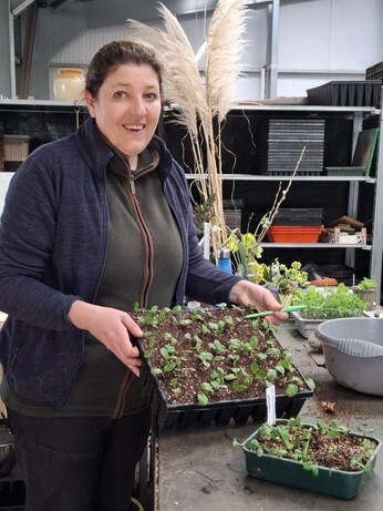 Weekly catch up with gardens & propagation 