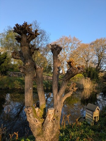 A look back at 2025 with the garden team A look back at 2025 with the garden team