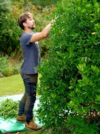 Weekly catch up with garden & propagation