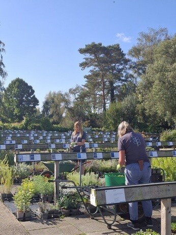 Weekly catch up with garden & propagation