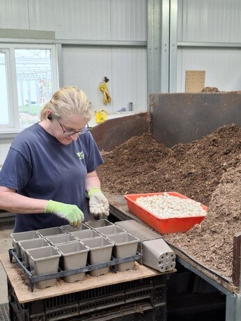 Weekly catch up with garden & propagation